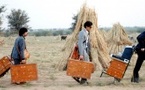 16h15 - À bord du Darjeeling Limited (The Darjeeling Limited) + Hôtel Chevalier