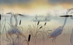 16h30 - À vol d’oiseaux 