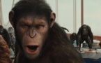 20h30 - La Planète des Singes : Les Origines