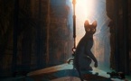 16h30 - Flow, le chat qui n’avait plus peur de l’eau