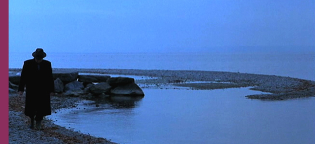 JLG / JLG  JLG / JLG