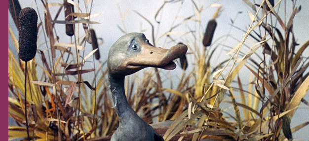 Le Vilain petit canard Le Vilain petit canard