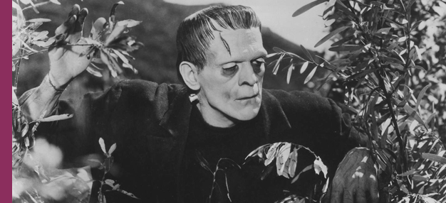 Frankenstein Frankenstein