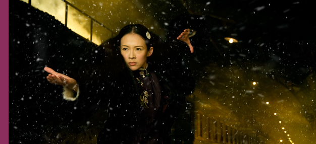 The Grandmaster (Yi dai zong shi)