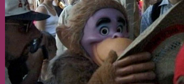Disneyland, mon vieux pays natal	 Disneyland, mon vieux pays natal