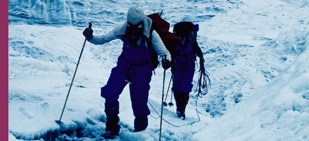 La Grande extase du sculpteur sur bois Steiner + Gasherbrum...