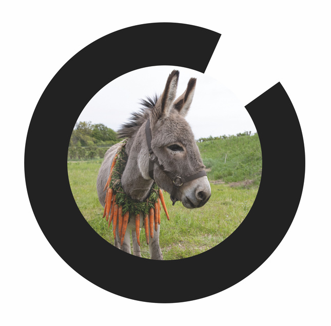 Demandez le programme ! Demandez le programme !