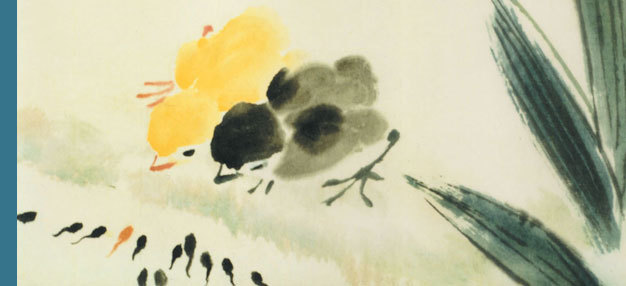 Les têtards à la recherche de leur maman Les têtards à la recherche de leur maman