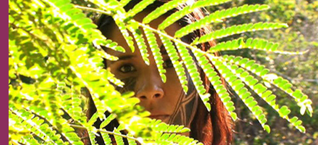 Iracema (de Questembert) Iracema (de Questembert)