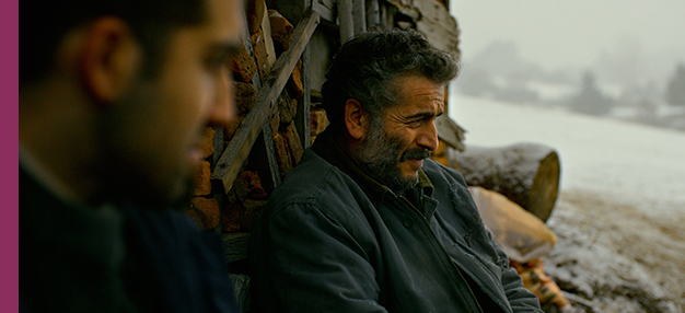 Le Poirier Sauvage (Ahlat Agaci) Le Poirier Sauvage (Ahlat Agaci)