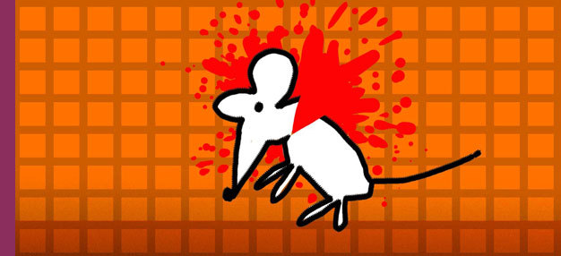 Goodbye Mister Christie (The Christies) Goodbye Mister Christie (The Christies)