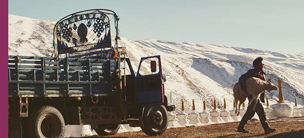 Jinpa, un conte tibétain  Jinpa, un conte tibétain