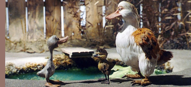 Le Vilain petit Canard Le Vilain petit Canard