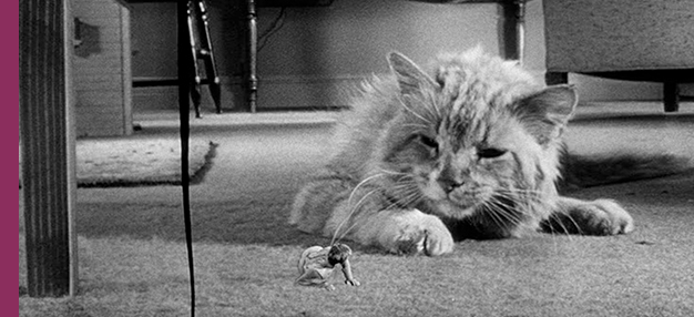 L'Homme qui rétrécit (The Incredible Shrinking Man) 