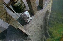 LE NARCISSE NOIR (BLACK NARCISSUS)