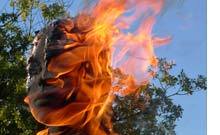 LA TERRE DE LA FOLIE LA TERRE DE LA FOLIE