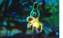 LE BAL DES LUCIOLES ET AUTRES COURTS LE BAL DES LUCIOLES ET AUTRES COURTS