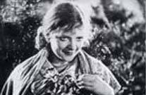 ACCORDÉON (GARMON) ACCORDÉON (GARMON)