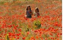 NOS ENFANTS NOUS ACCUSERONT