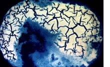 INSTABILE MATERIE INSTABILE MATERIE