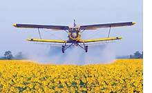 NOTRE PAIN QUOTIDIEN NOTRE PAIN QUOTIDIEN