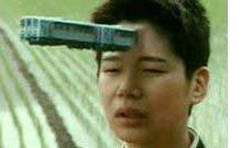 THE TASTE OF TEA (CHA NO AJI) THE TASTE OF TEA (CHA NO AJI)