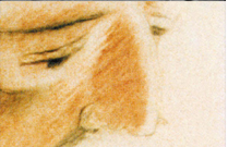 L'HOMME QUI PLANTAIT DES ARBRES L'HOMME QUI PLANTAIT DES ARBRES