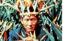 JUGATSU (BOILING POINT) JUGATSU (BOILING POINT)