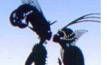 PRINCES ET PRINCESSES PRINCES ET PRINCESSES