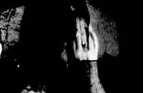 CINE-CONCERT CINE-CONCERT