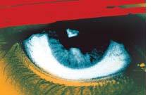 LE FESTIVAL DES 3 CONTINENTS LE FESTIVAL DES 3 CONTINENTS