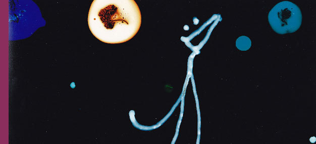 Cameras take five Cameras take five