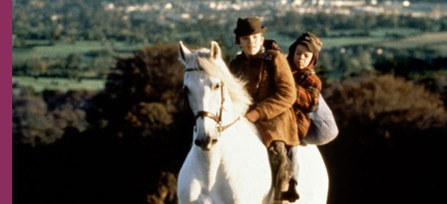 Le Cheval venu de la mer Le Cheval venu de la mer