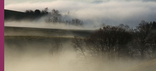 Le bonheur... Terre promise