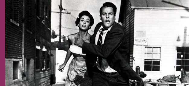 L'Invasion des profanateurs de Sépultures (Invasion of the body snatchers)