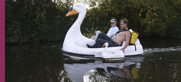 Swandown Swandown