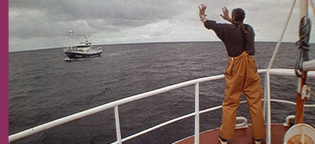 La Peau trouée La Peau trouée