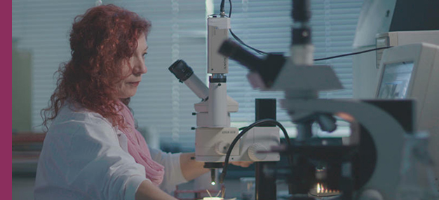 La Fabrique de l'ignorance La Fabrique de l'ignorance