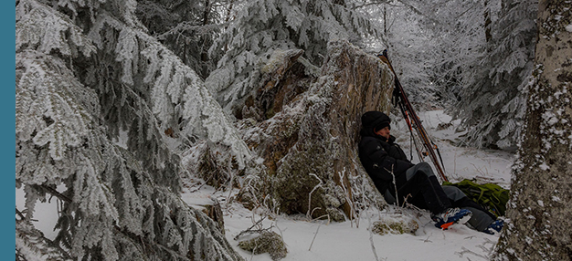 La Vallée des loups La Vallée des loups