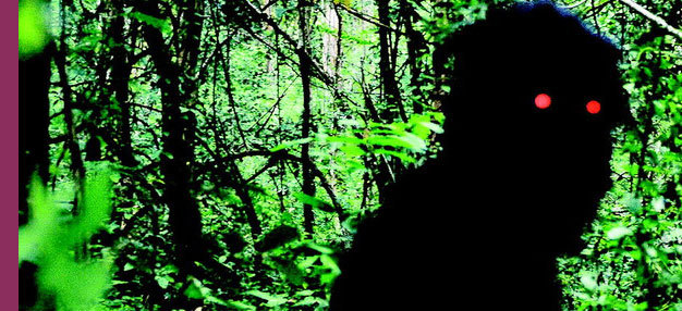 Oncle Boonmee (celui qui se souvient de ses vies antérieures) (Lung Boonmee Raluek Chat) Oncle Boonmee (celui qui se souvient de ses vies antérieures) (Lung Boonmee Raluek Chat)