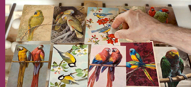 Langue des oiseaux Langue des oiseaux