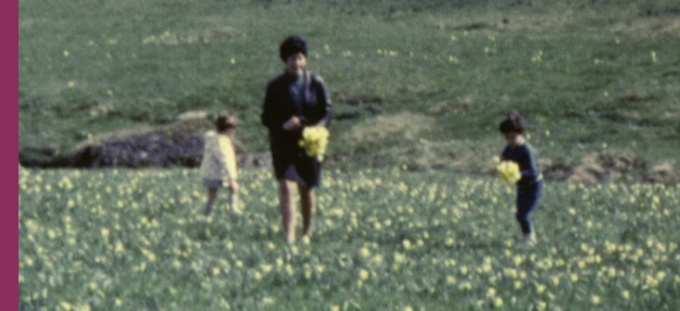 PASTORAL KINO : ciné-concert par bocage 