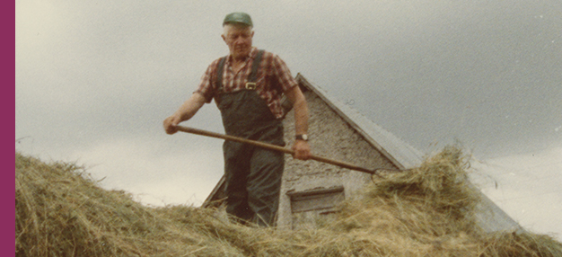 Mon île Farö (Farödokument 1979)  