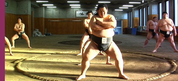 Tu seras Sumo (Shinbô)