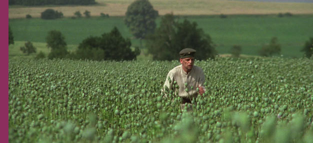 Woyzeck Woyzeck