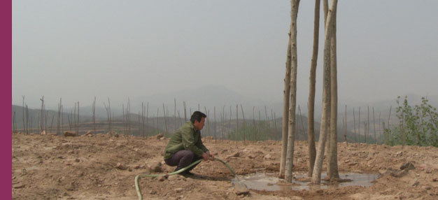 Sud Eau Nord Déplacer (Nan shui bei diao) Sud Eau Nord Déplacer (Nan shui bei diao)
