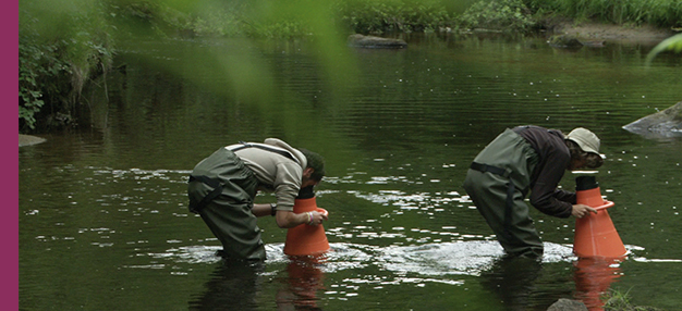 La Rivière (+ rencontre) La Rivière (+ rencontre)