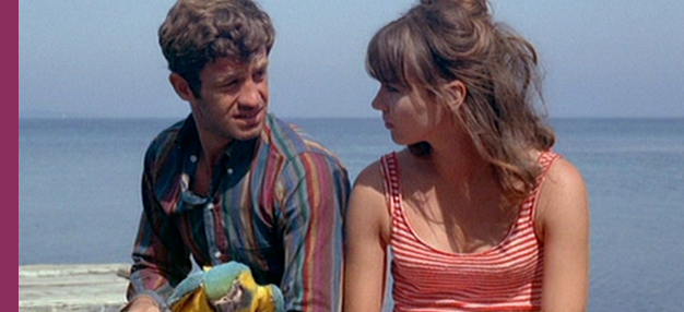 Pierrot le fou 