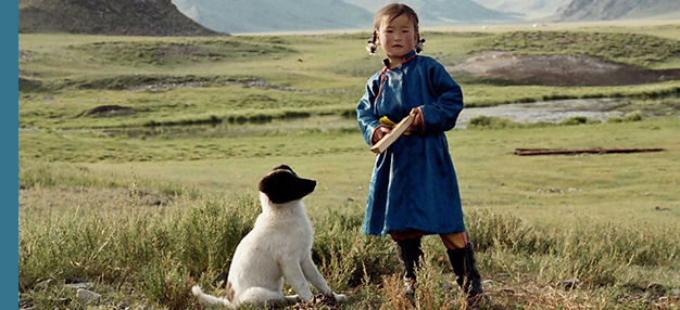 Le Chien jaune de Mongolie