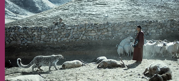 Le Léopard des neiges (Xue bao) Le Léopard des neiges (Xue bao)
